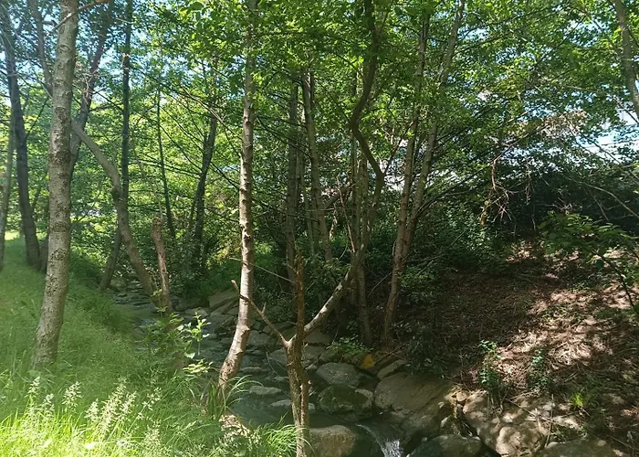 Bermeo y Urdaibai - Apartamento - tranquilo - WiFi - GARAJE - ASCENSOR
